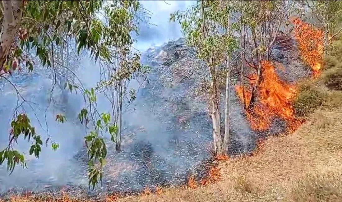 İzmir Karşıyaka’da Orman Yangını Kontrol Altına Alındı